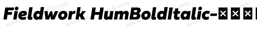 Fieldwork HumBoldItalic字体转换